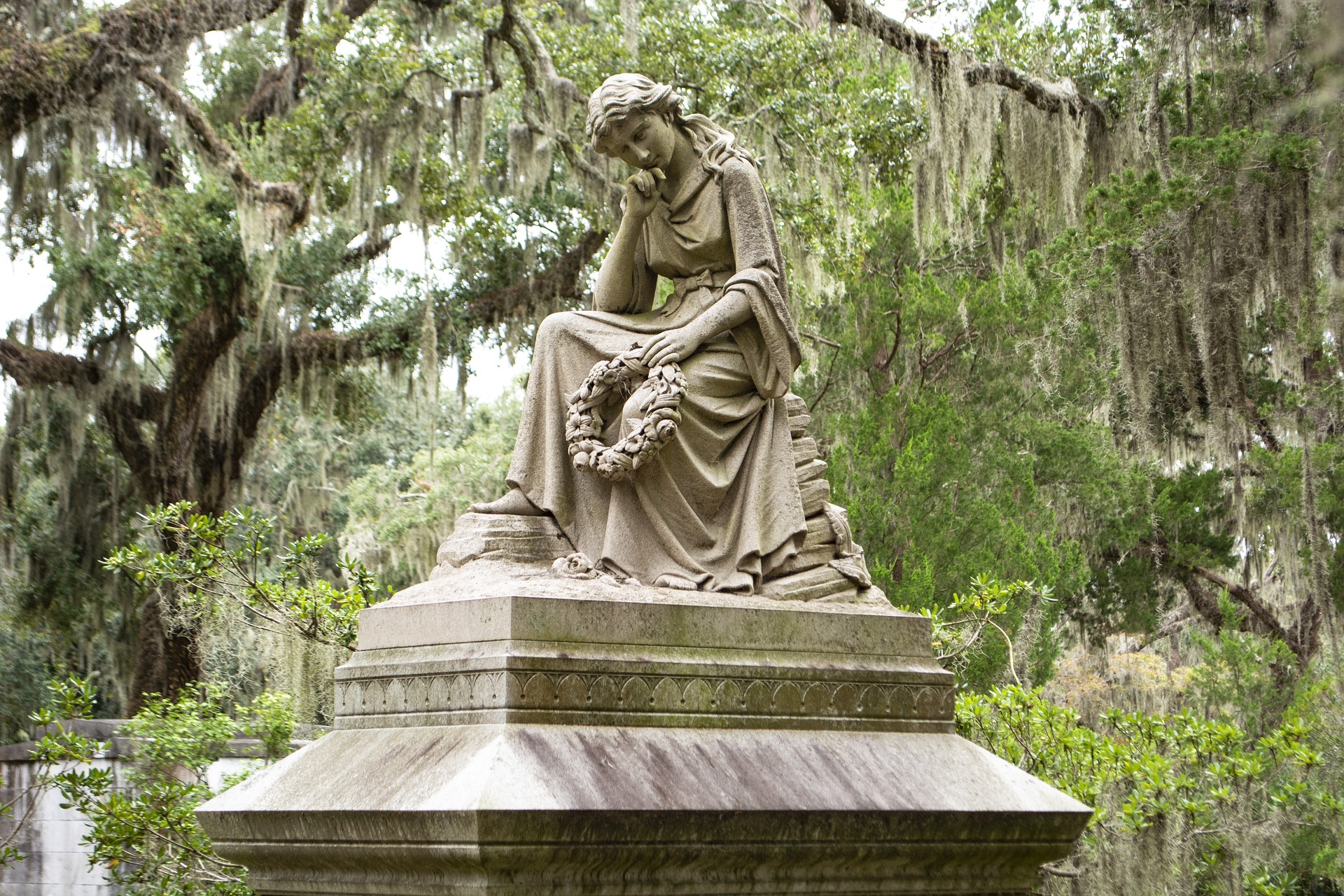 Savannah